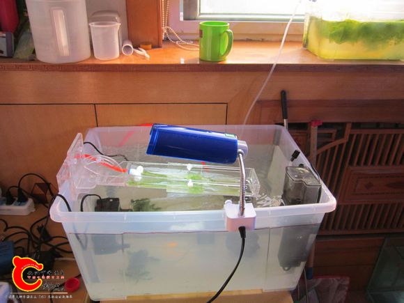 2345_image_file_copy_65.jpg
