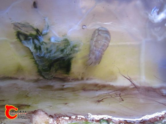 2345_image_file_copy_69.jpg