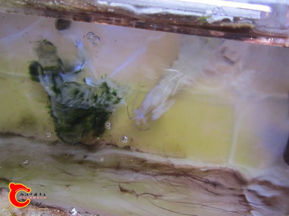2345_image_file_copy_70.jpg