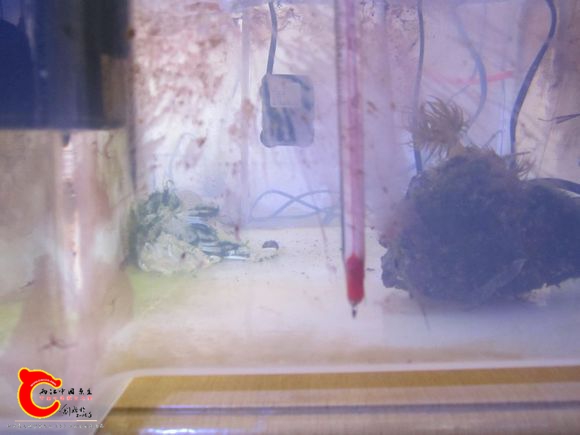 2345_image_file_copy_72.jpg