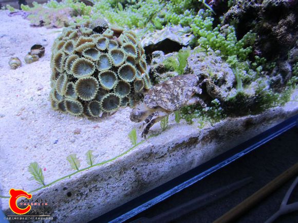 2345_image_file_copy_78.jpg