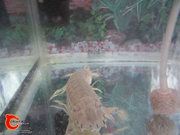 2345_image_file_copy_101.jpg