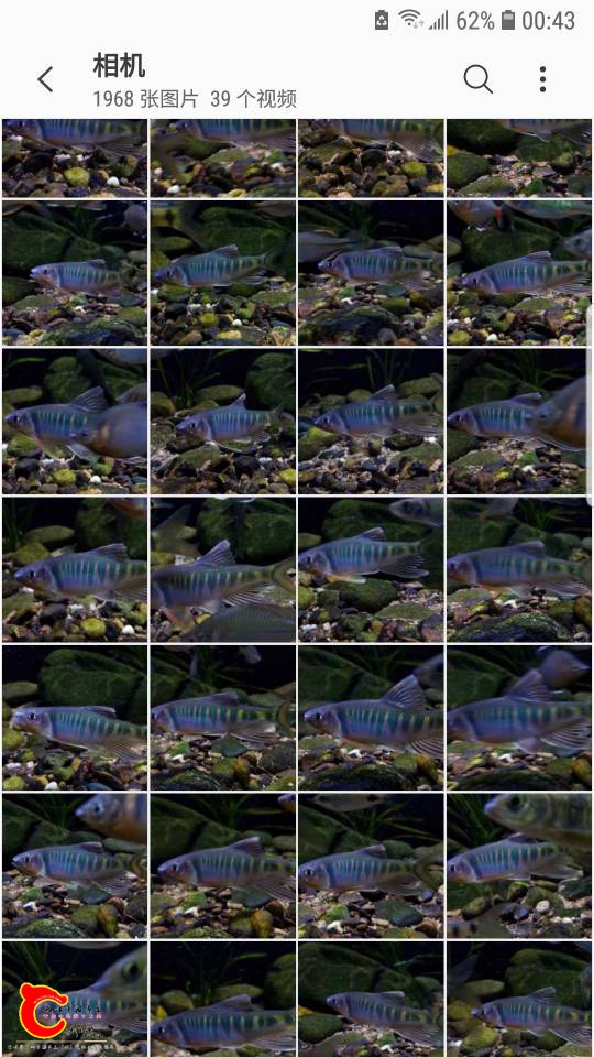 005327kkjg6ii6iugg0di8.jpg