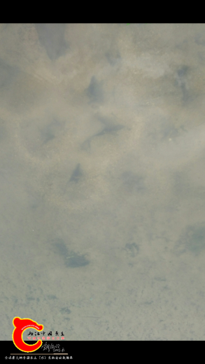 Screenshot_2018-08-25-22-50-02-076_com.miui.gallery.png