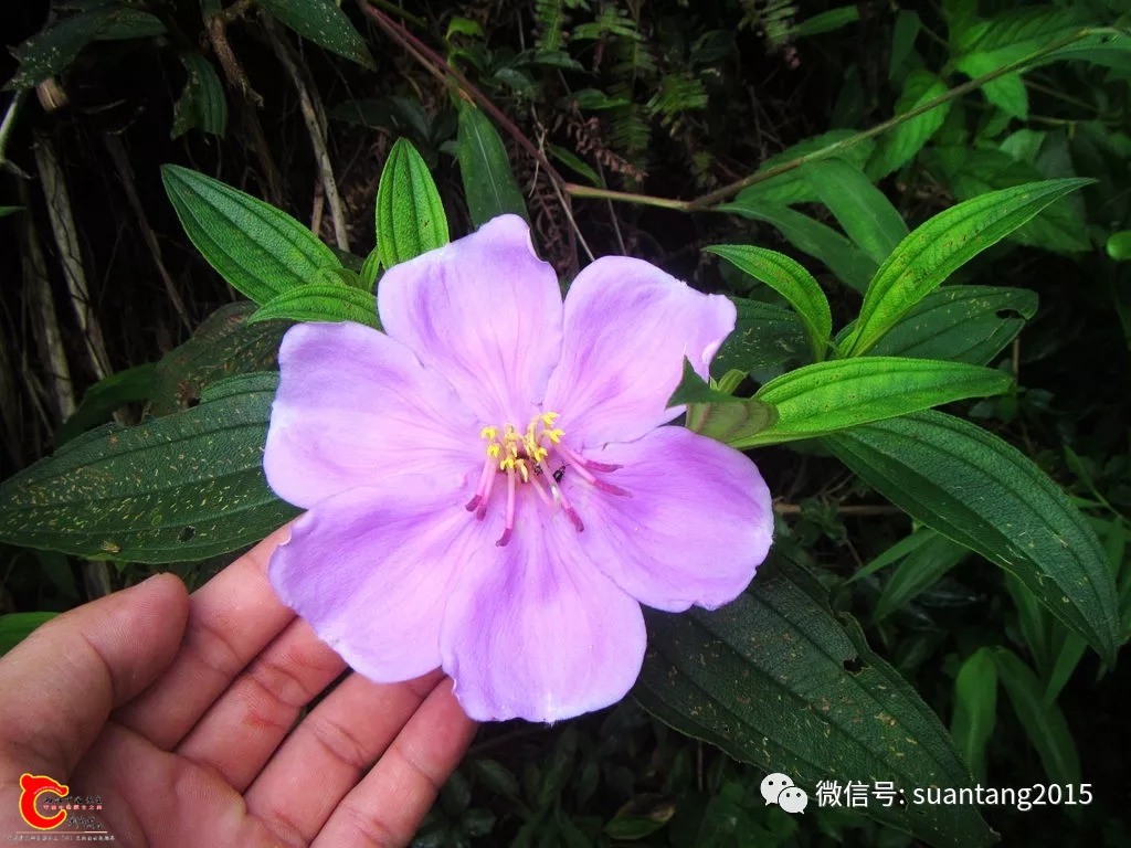 c2daff2788bddc3ed913bce2cbb86b9a.jpg