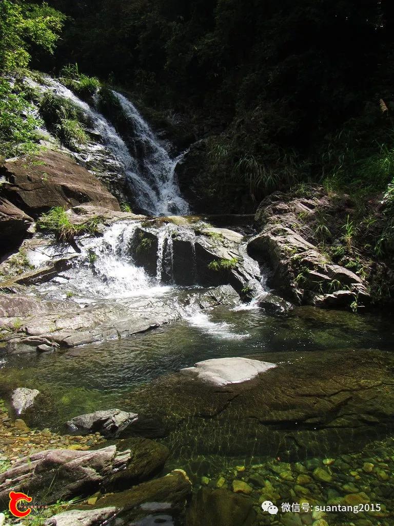 8a6fdbb00698963614b4bc2cb82bb9fb.jpg