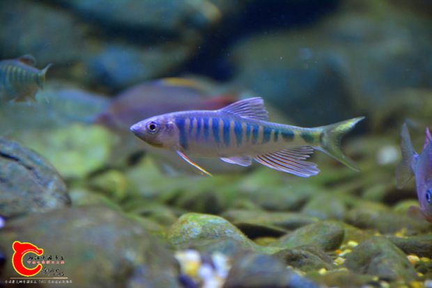 DSC_4368.JPG
