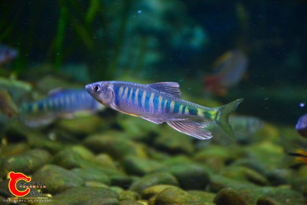 DSC_4369.JPG