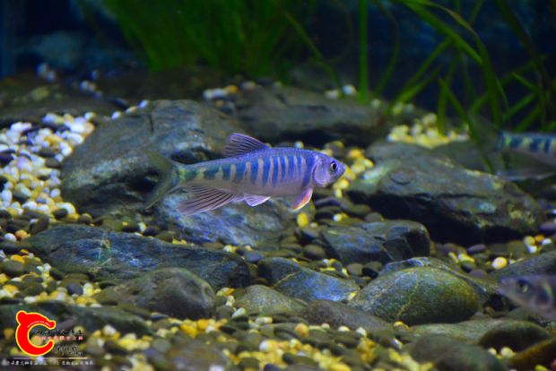DSC_4370.JPG