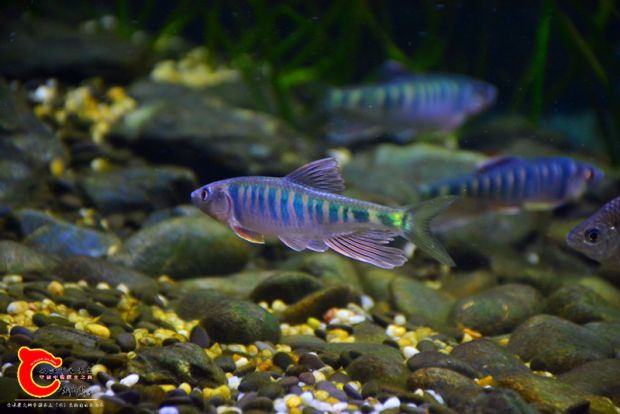DSC_4371.JPG