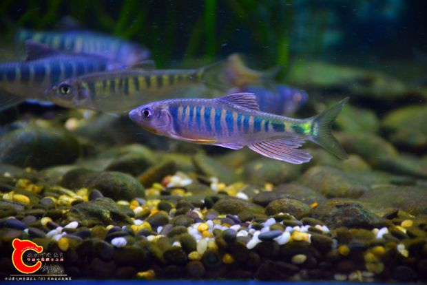 DSC_4373.JPG