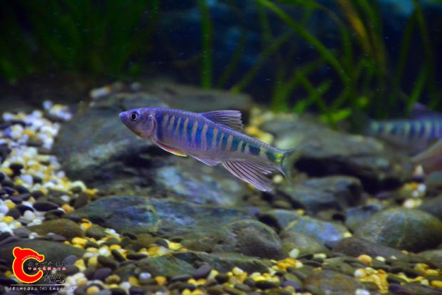 DSC_4380.JPG