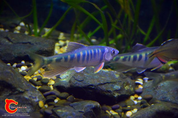 DSC_4381.JPG
