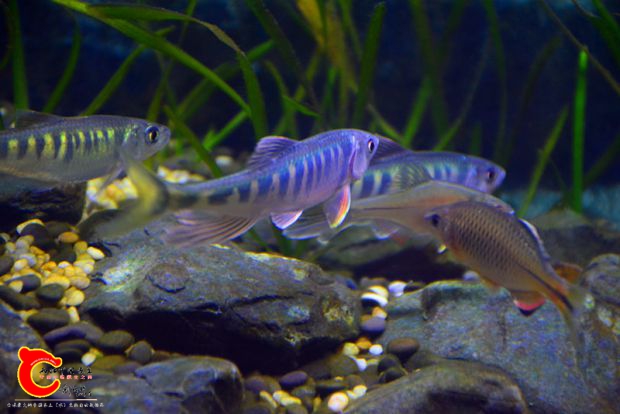 DSC_4382.JPG