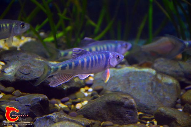 DSC_4386.JPG