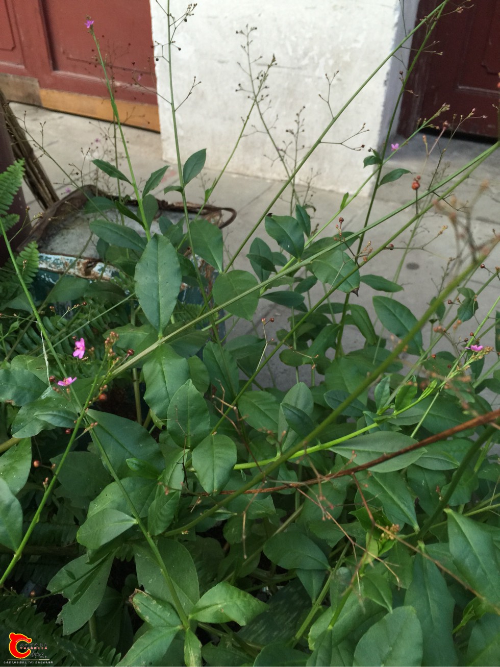 212735cf2nyyeo2my8fmp5.jpg