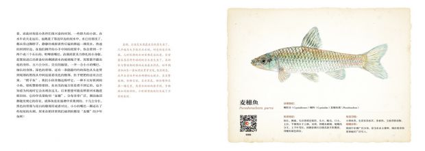 微信图片_20180912162041.jpg