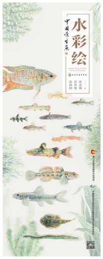 易拉宝_20180912161949.jpg