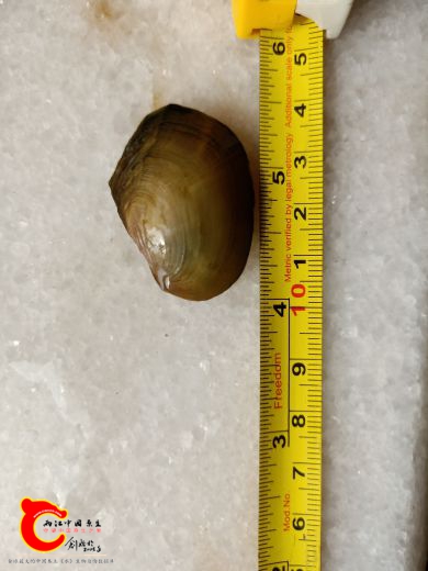 IMG20180911095514.jpg