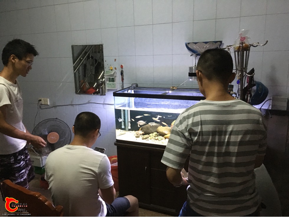 161317gu37bnttsnuzinoc.jpg