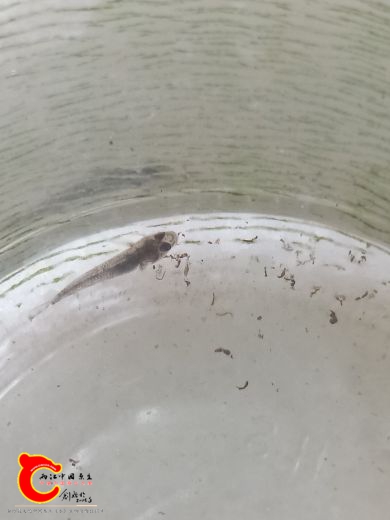 IMG20180918173209.jpg