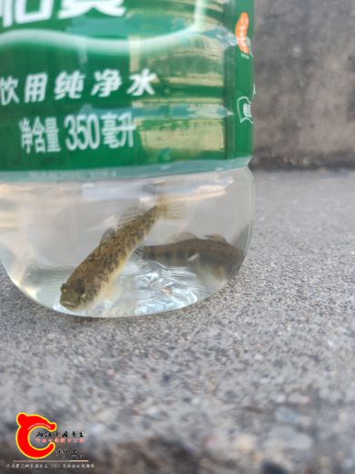 IMG20180924130201.jpg