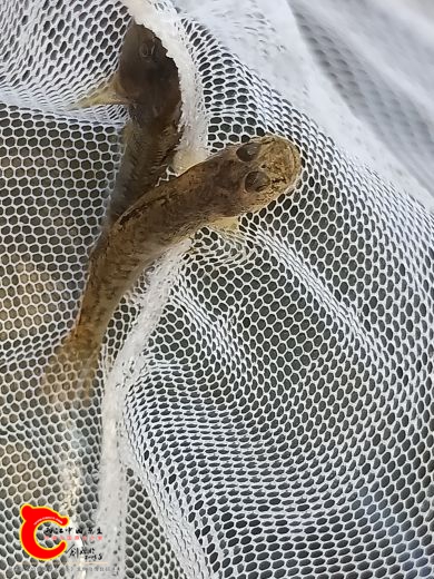 IMG20180924131510.jpg