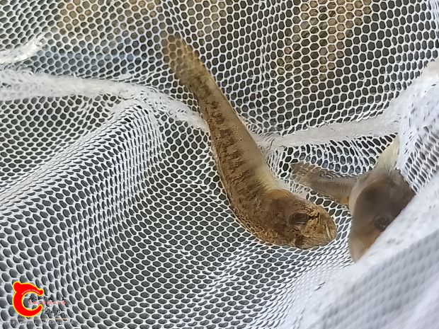 IMG20180924131522.jpg