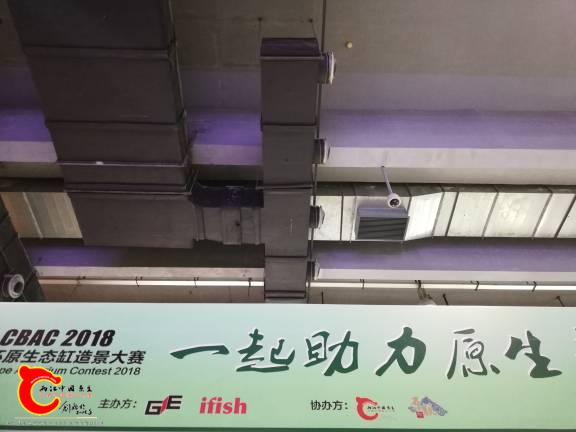 113404s1evizq3ne7pe00m.jpg