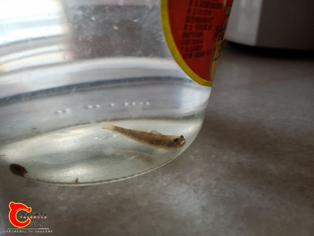 IMG20180927102721.jpg
