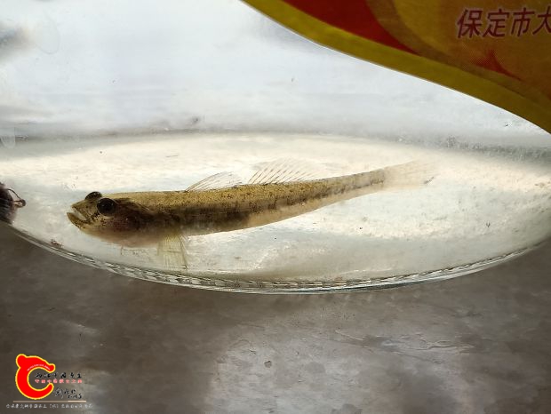 IMG20180927102739.jpg
