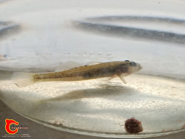 IMG20180927102822.jpg