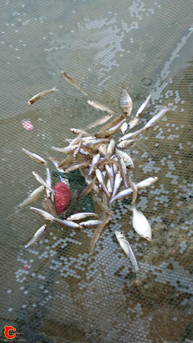 082849dgraa2abaazqluag.jpg