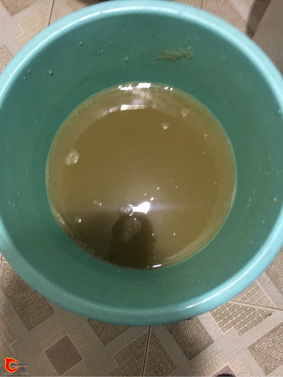 181228m11vgg7g4114y1yn.jpg
