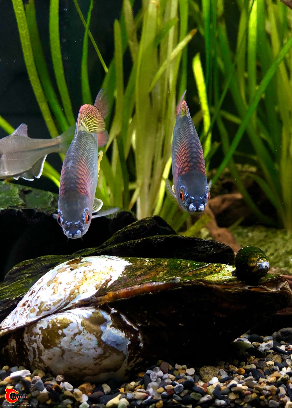 221512mihtippgbiits5iu.jpg