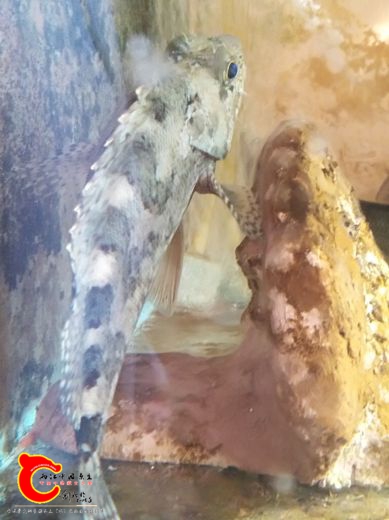 IMG_20180930_141738.jpg