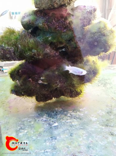IMG_20180930_150221.jpg