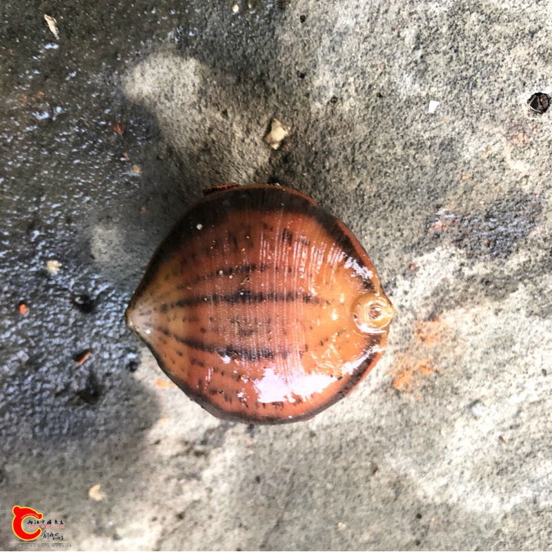 142542fz6cwycp4c65cg24.jpg
