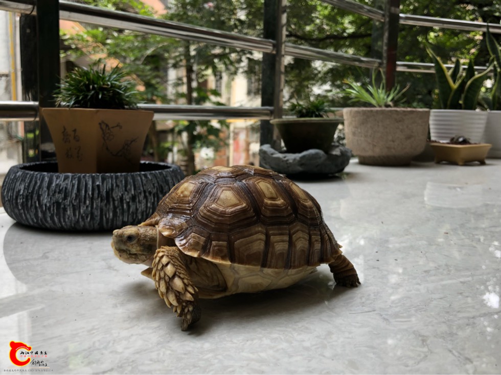 142652geqqdxrzc55ed6qh.jpg