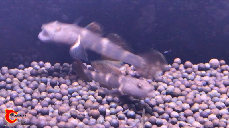 155032nh57xowxxcc7zhxc.jpg