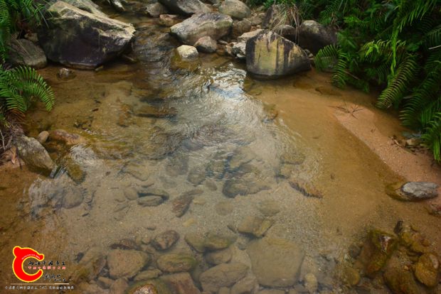 DSC_4398.JPG