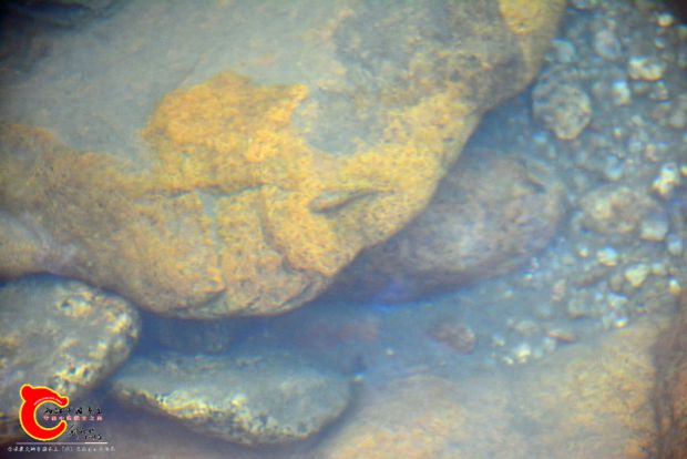 DSC_4423.JPG