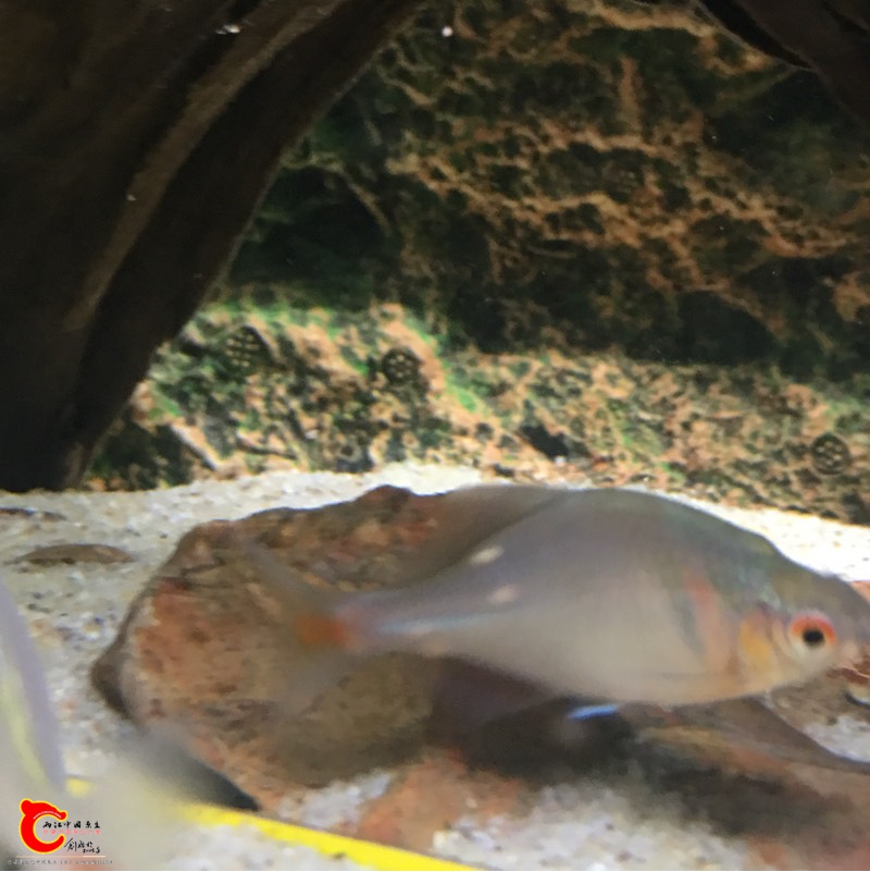 013052r7xs8huan882vswp.jpg