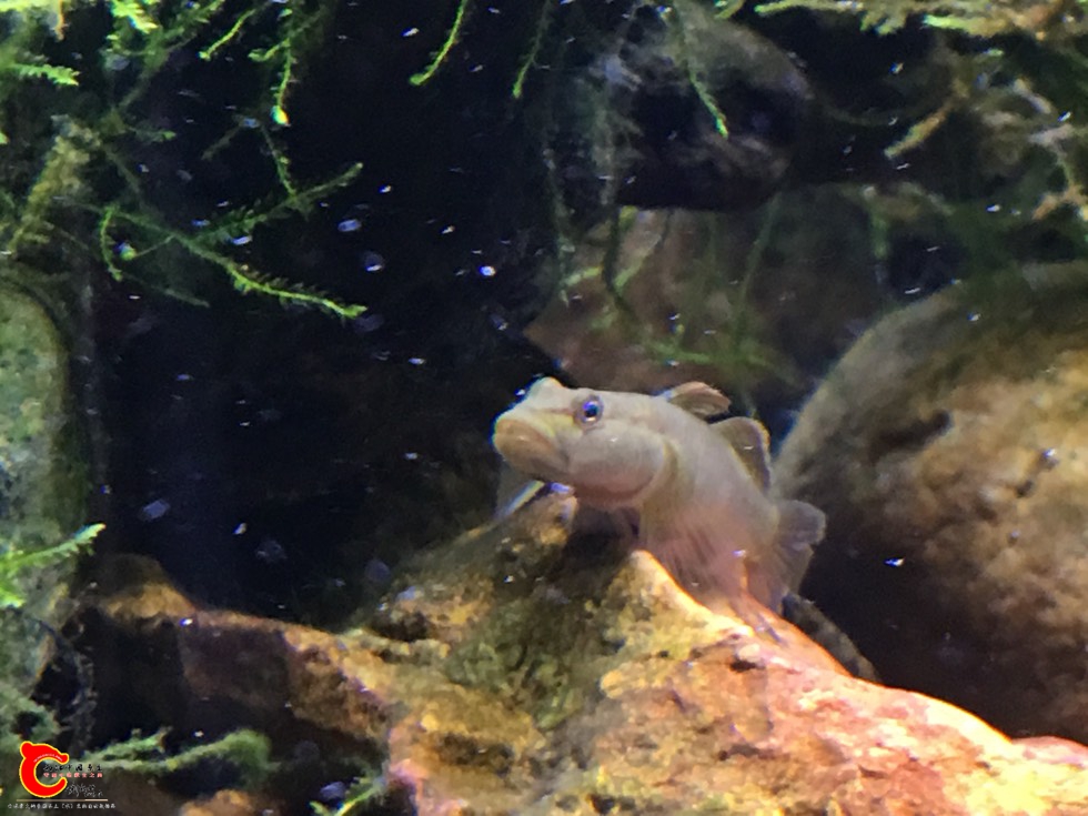 130808dcqdf9qtt8hkdchv.jpg