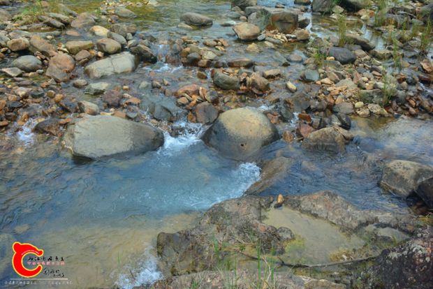 DSC_4431.JPG