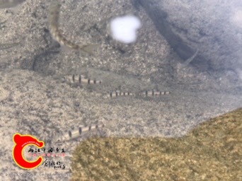 191120ldtb5d01dp50azpv.jpg