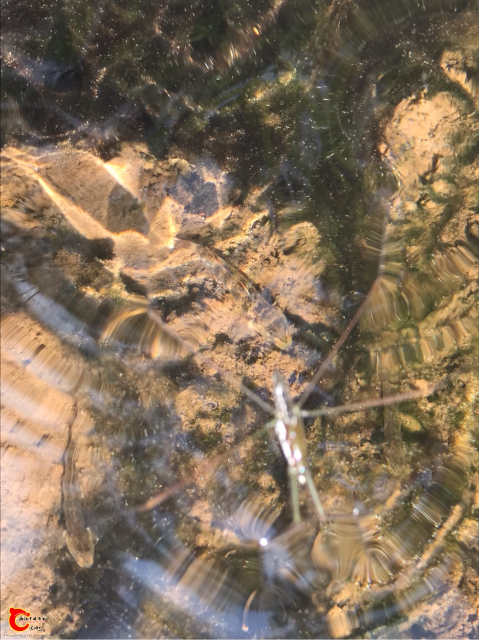 100950gzof8hbjeijh3on8.jpg
