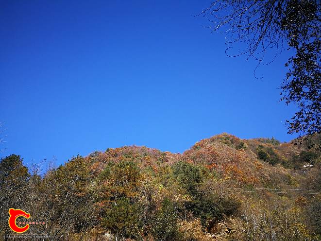 105309f6mrwzltjncqdje3.jpg