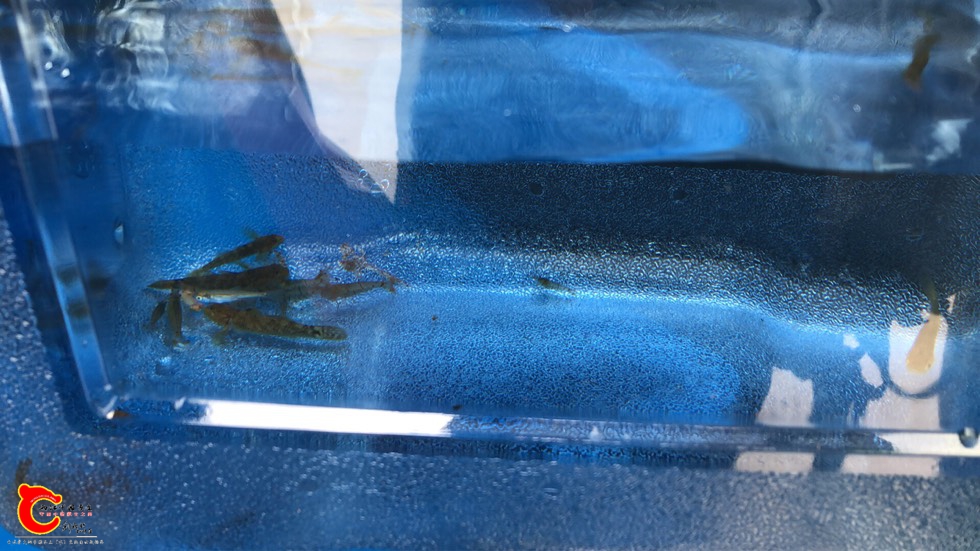 201905mh6uurrrh360rhvh.jpg