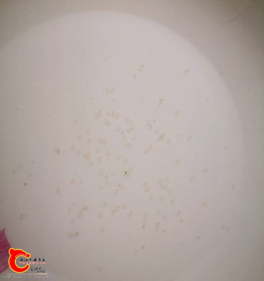 230423gqq5wzcazehl5ylg.jpg